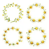 มงกุฎดอกคาโมมายล์