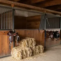 Interno della stalla