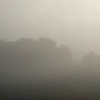 Misty Atmosphere