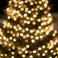 Feestelijke Verlichting