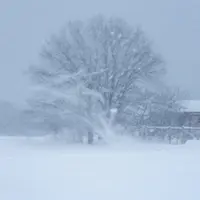 Snowstorm