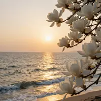 Августовские пейзажи