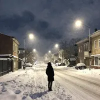 Urban Night Solitude