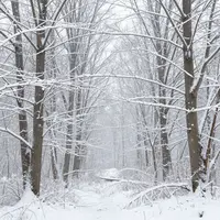 پہلی برف باری