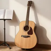 Acoustic Guitar