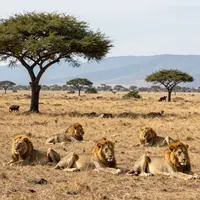 زیستگاه طبیعی