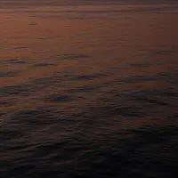 هنر انتزاعی طبیعت