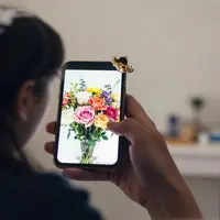 Цифровая меланхолия