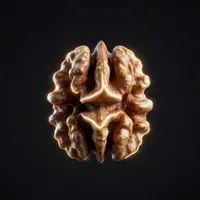 अखरोट का छिलका