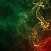 حس و حال داب رگی