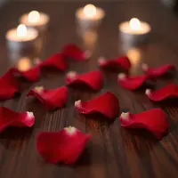 Pétales de Rose Rouges