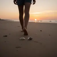 ساحل پر تلاش