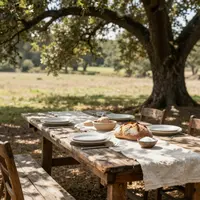 چیدمان میز روستیک