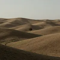 Zemité barevné palety