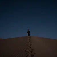 Eastern Desert Night