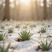 Природа ранней весны