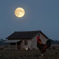 Сельские сумерки