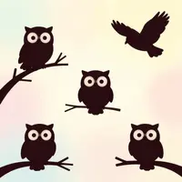 Divoká Příroda v Pastelu