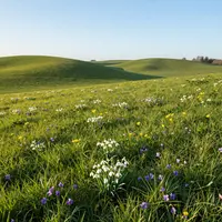 Сельская весна