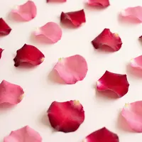 ロマンチックな花びら