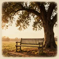 صحنه نیمکت قدیمی