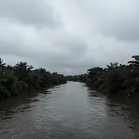 Pemandangan Sungai Gelap