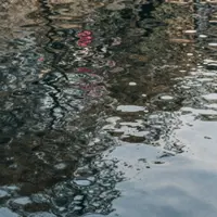 Солтүстік су пейзаждары