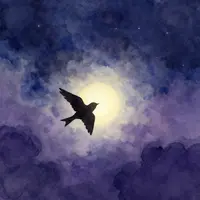 Одинокая птица