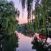 אמנות עצי ערבה