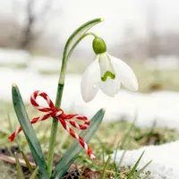 Romanian Mărțișor