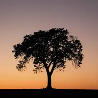 ضد نور مینیمال