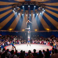 Цирковое представление