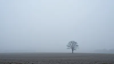 Fading Gray Horizons