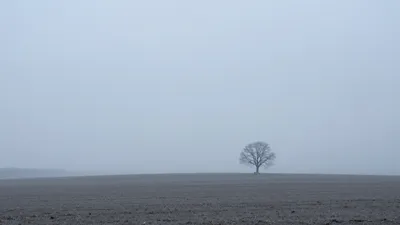 Fading Gray Horizons