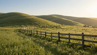 Golden Fields Journey