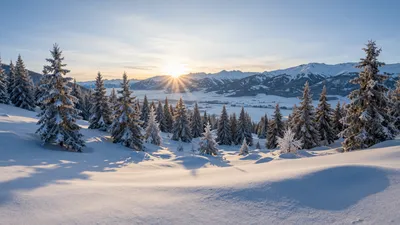 Crystal Winter Morning