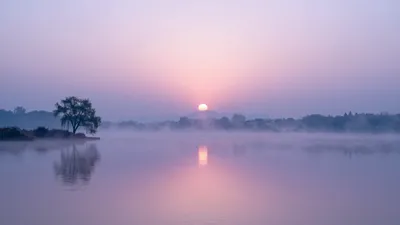 Serene Whispers of Dawn