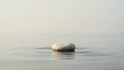 Whispers of Serenity
