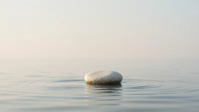 Whispers of Serenity