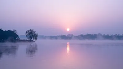 Serene Whispers of Dawn
