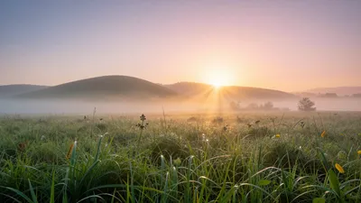 Whispers of the Morning