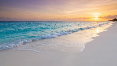 Whispers of the Tide