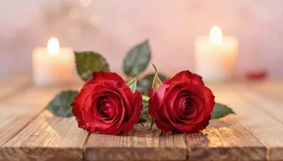 Velvet Heart Melodies