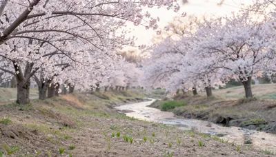 Whispers of Spring Bloom
