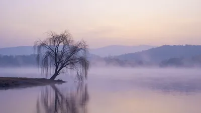 Echoes of Lost Memories