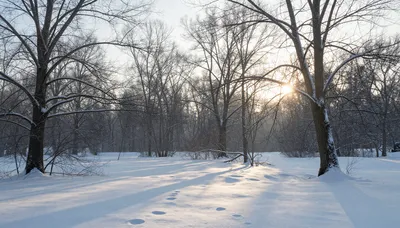 February's Quiet Light