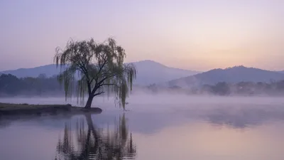 Echoes of Lost Memories