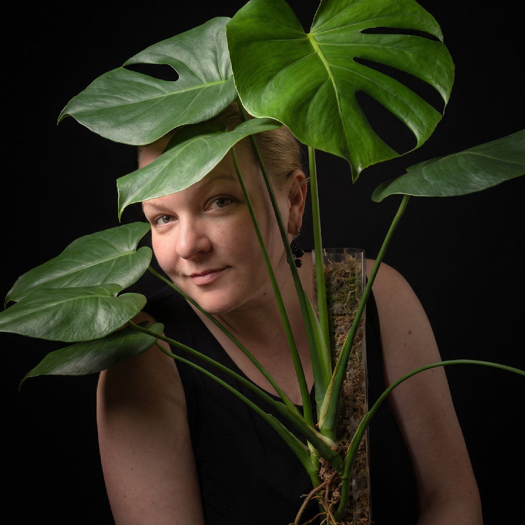 HousePlants17 avatar