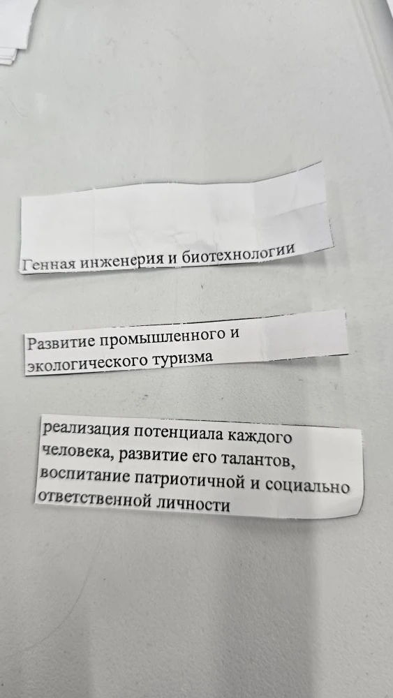 1000382966.jpg