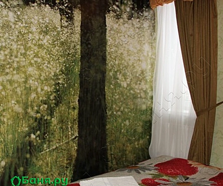 Сауна Царская